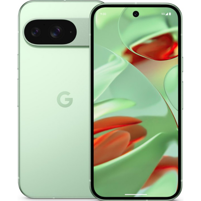 Google Pixel 9 (New)